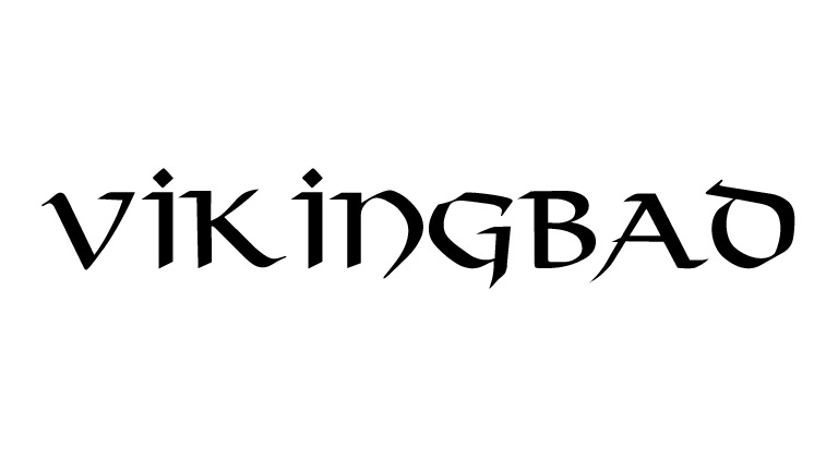 Logo - Viking Bad